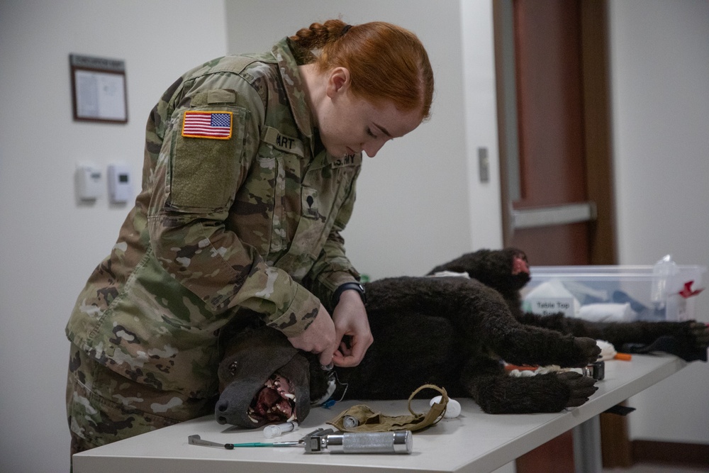 K9 Tactical Combat Casualty Care