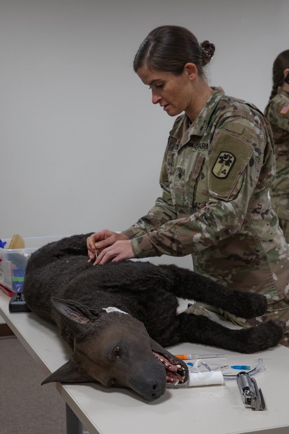 K9 Tactical Combat Casualty Care