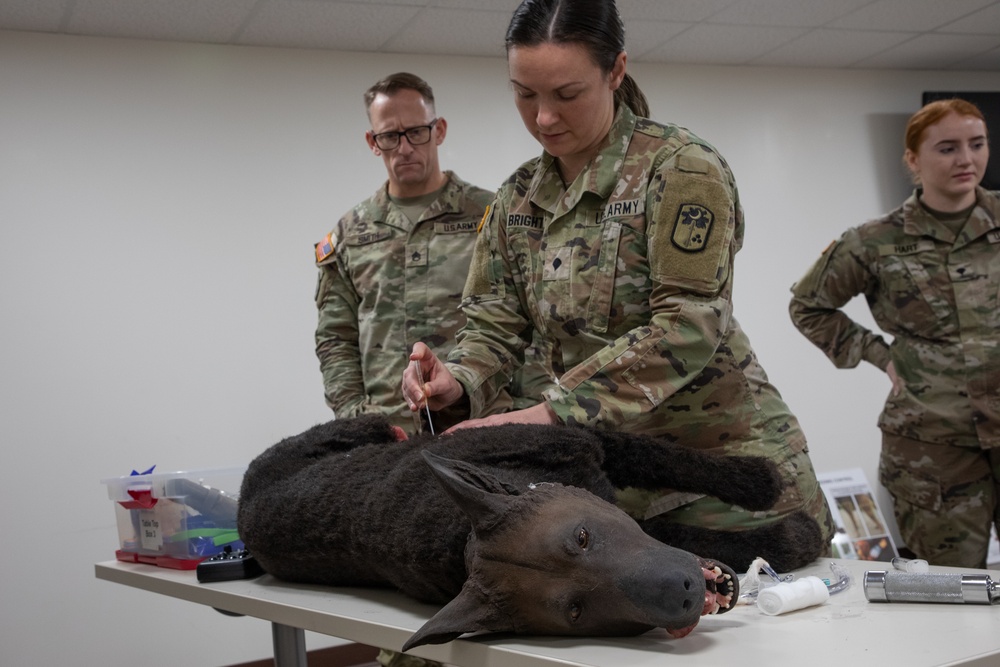 K9 Tactical Combat Casualty Care