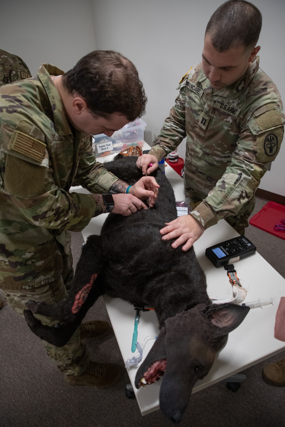 K9 Tactical Combat Casualty Care