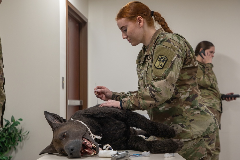 K9 Tactical Combat Casualty Care