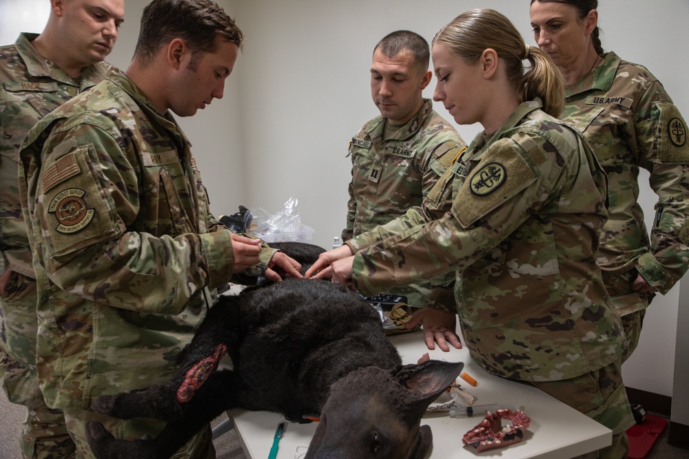 K9 Tactical Combat Casualty Care