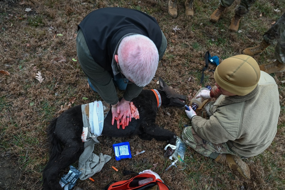 K9 Tactical Combat Casualty Care