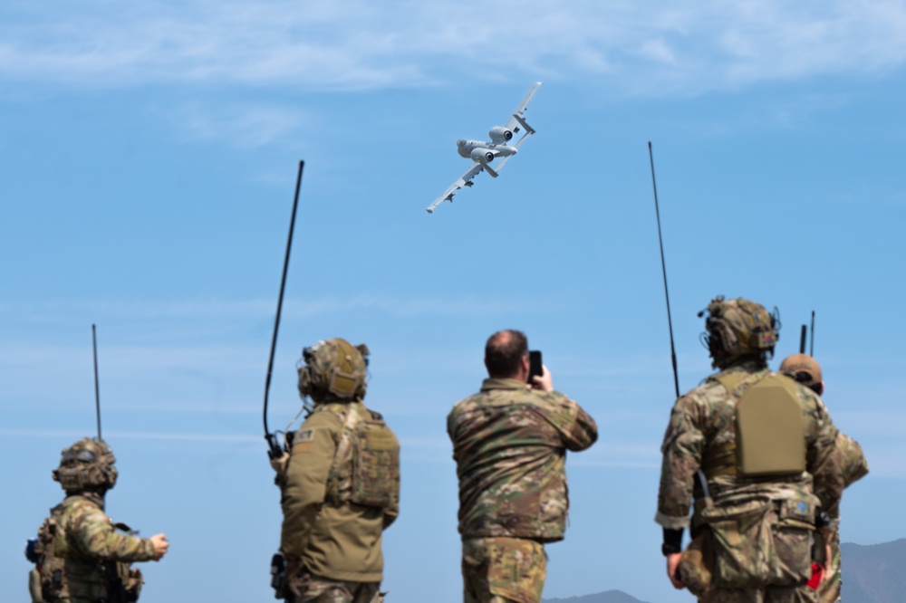 51st FW demonstrates ACE capabilities in ELS training
