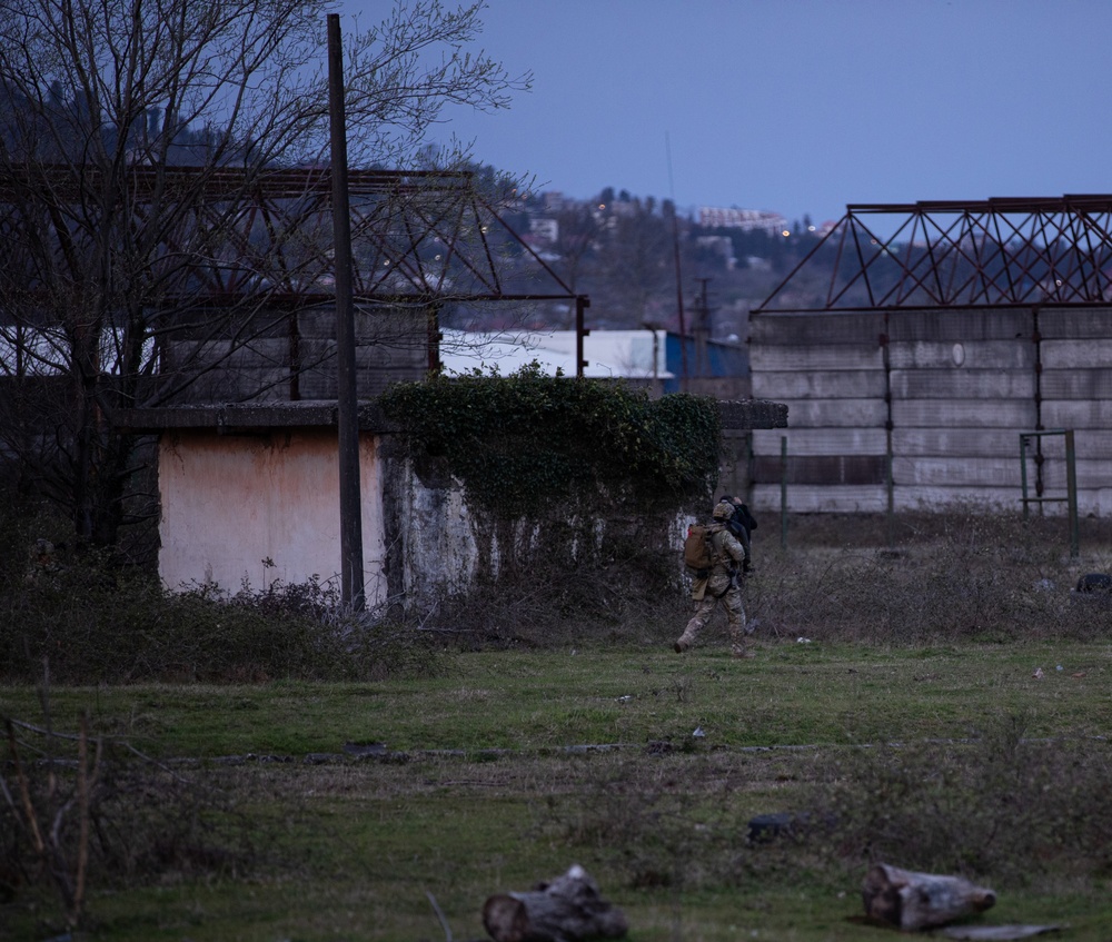 Georgian Rangers assault objective at Trojan Footprint 24