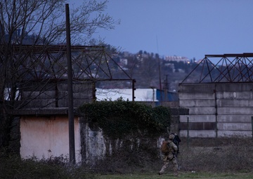 Georgian Rangers assault objective at Trojan Footprint 24
