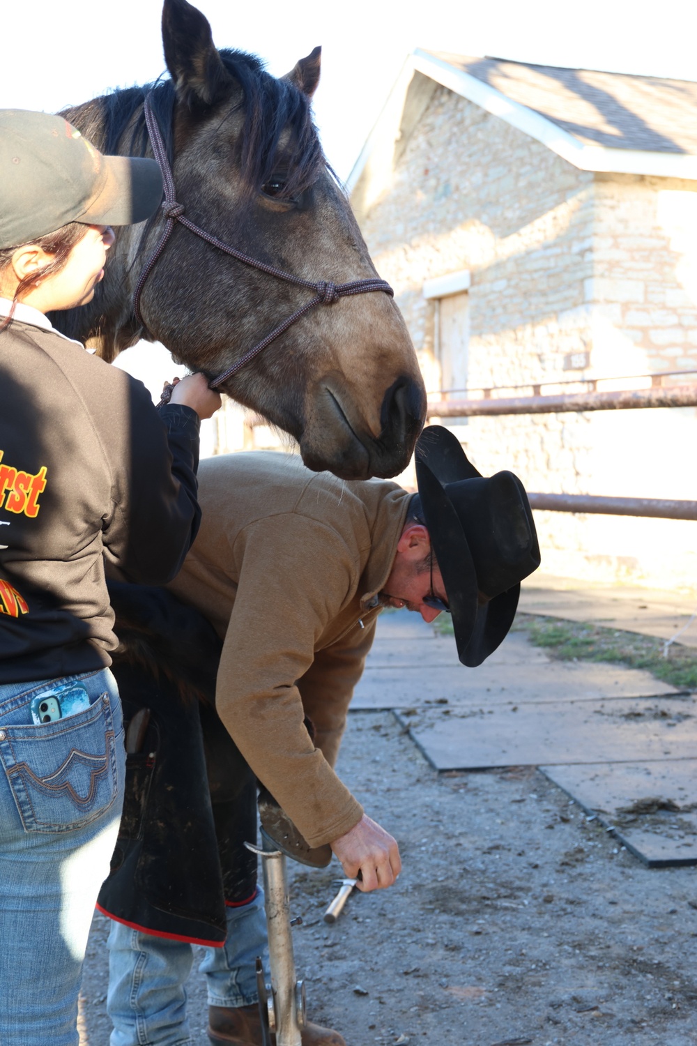 Trimming Hooves