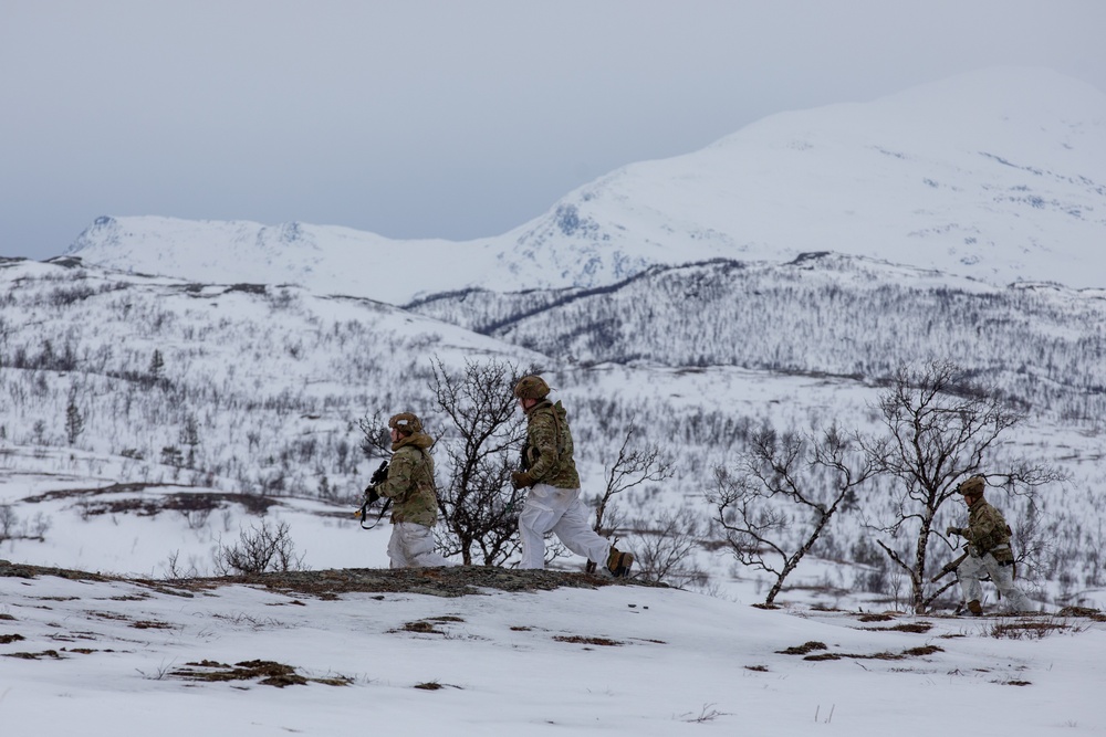 Arctic Angels Move through Norwegian Mountains