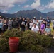 Pulling Weeds: Volunteers gather on MCBH to restore the Nu’upia Ponds