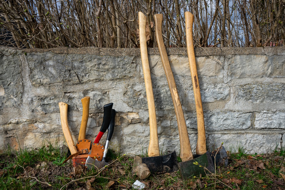 Troop 240 POW Cemetery Cleanup