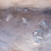 49th CES assists in uncovering archaeological site on Holloman