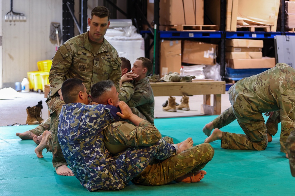 Best NCO Soldier of the Rotation Competition: Combatives Preparation