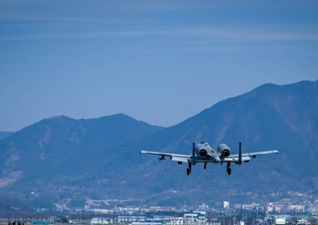 51st FW demonstrates ACE capabilities in ELS training