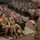 Soldier Focus Group