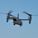 VMM-165 (Rein.) Resumes MV-22B Flight Operations