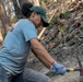 DPAA recovery operations in the Kingdom of Thailand