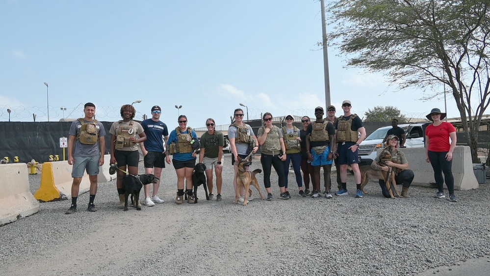 CJTF-HOA &amp; Camp Lemonnier Host K9 Veterans Day 5K &amp; Military Dog Demonstrations