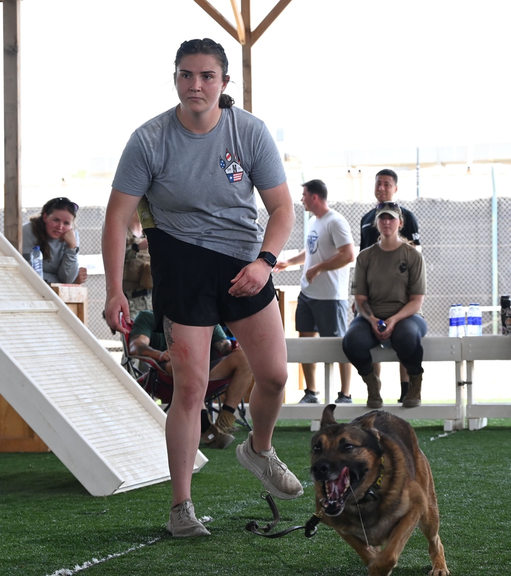 CJTF-HOA &amp; Camp Lemonnier Host K9 Veterans Day 5K &amp; Military Dog Demonstrations