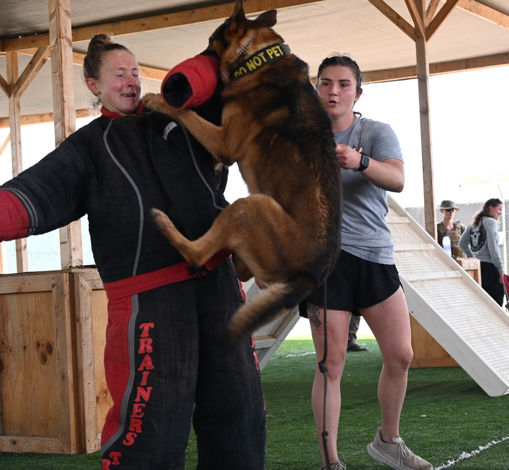 CJTF-HOA &amp; Camp Lemonnier Host K9 Veterans Day 5K &amp; Military Dog Demonstrations