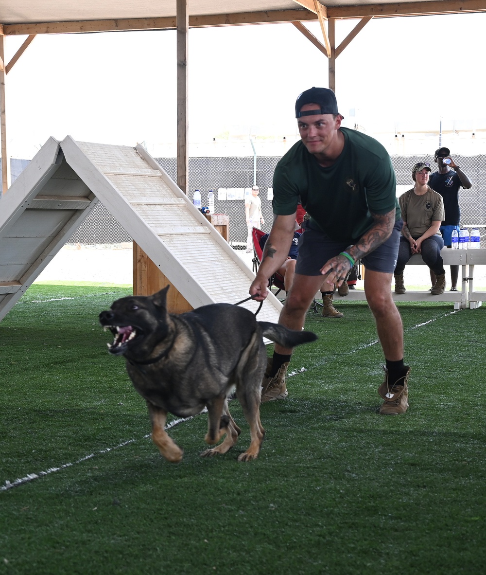 CJTF-HOA &amp; Camp Lemonnier Host K9 Veterans Day 5K &amp; Military Dog Demonstrations