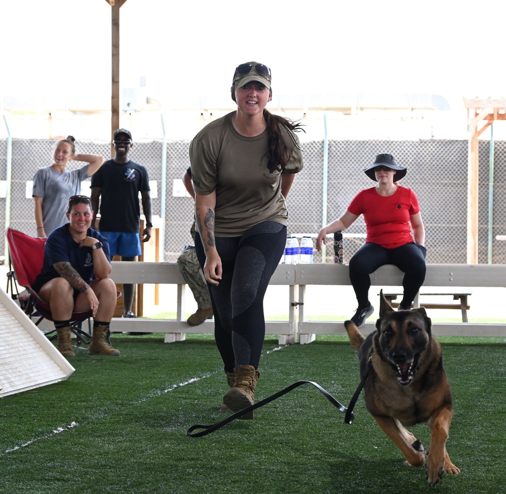 CJTF-HOA &amp; Camp Lemonnier Host K9 Veterans Day 5K &amp; Military Dog Demonstrations