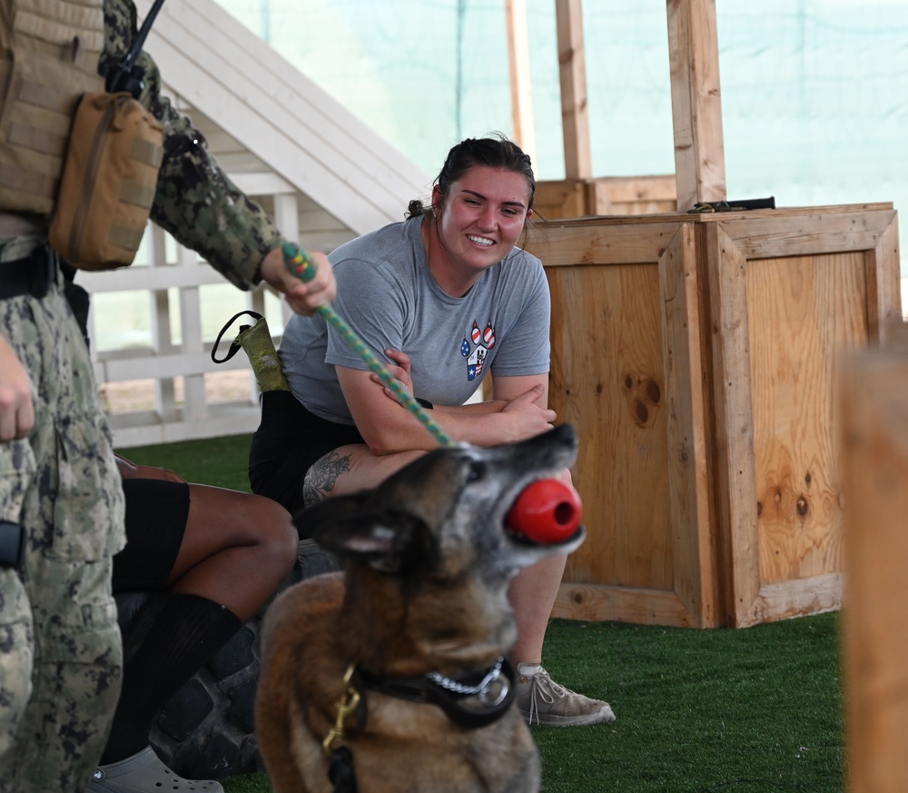 CJTF-HOA &amp; Camp Lemonnier Host K9 Veterans Day 5K &amp; Military Dog Demonstrations