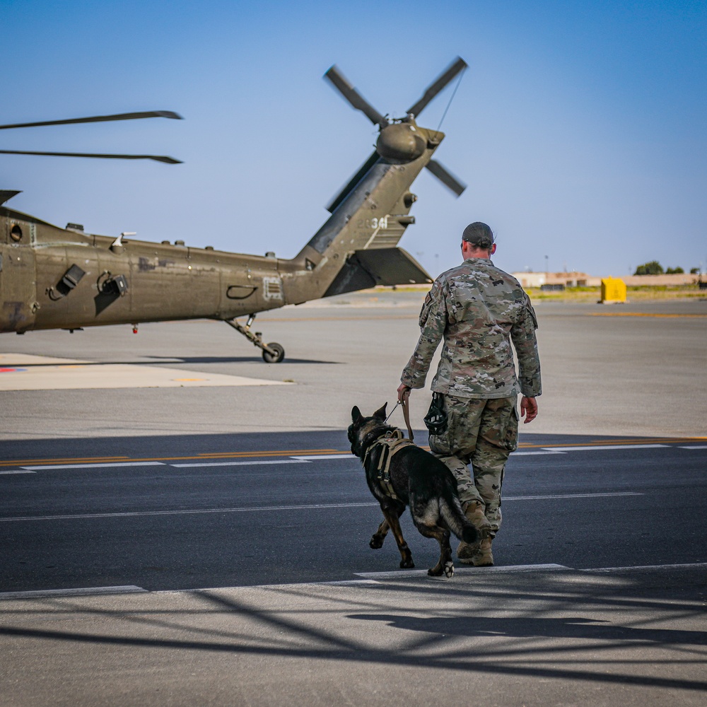 82nd CAB K9 Familiarization Flight