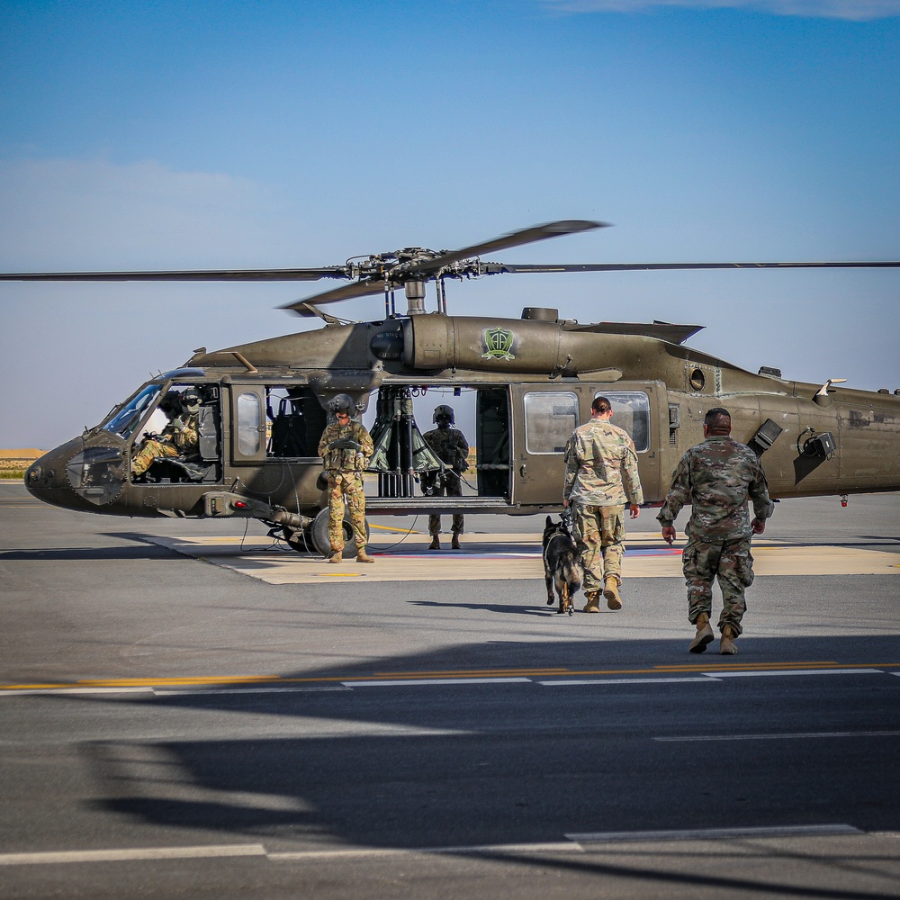 82nd CAB K9 Familiarization Flight