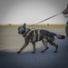 82nd CAB K9 Familiarization Flight