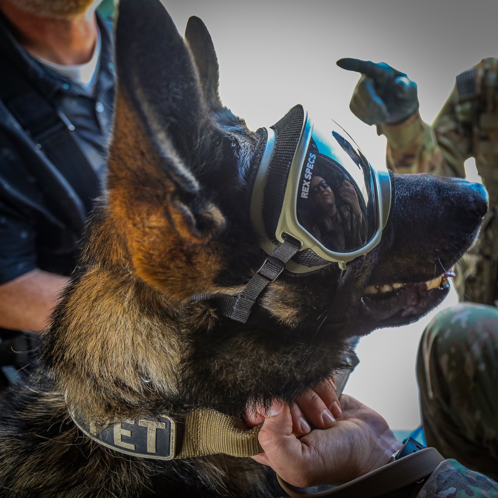 82nd CAB K9 Familiarization Flight