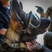 82nd CAB K9 Familiarization Flight
