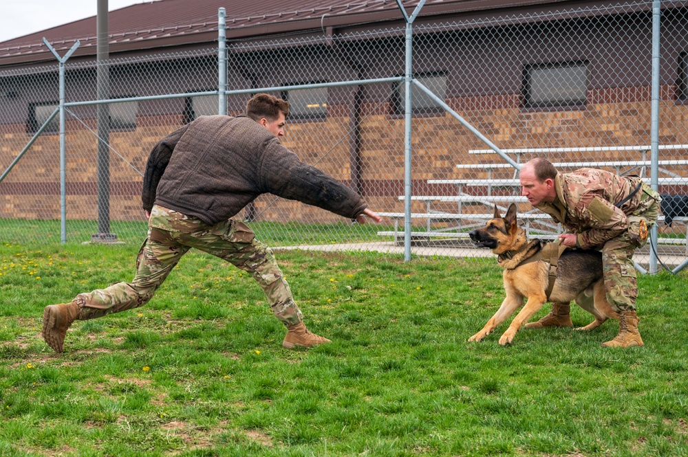 Whiteman Air Force Base Military Working Dogs Training