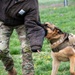 509th SFS Military Working Dogs