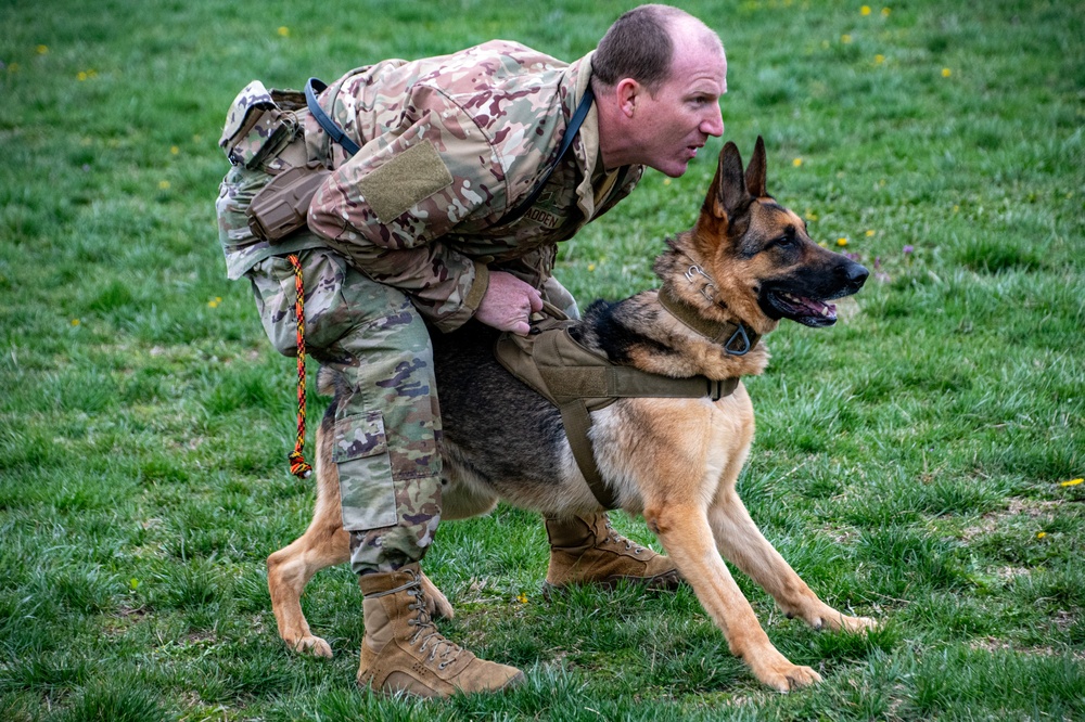 Dvids Images 509th Sfs Military Working Dogs Image 8 Of 8