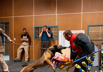 Inside look: Team Kirtland Goes to Basic Military Training