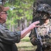 3-69 Armor Regiment conducts JRTC rotation