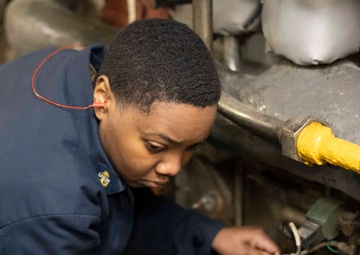 Wasp Lights Off Boiler