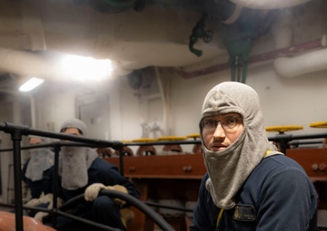 Wasp Lights Off Boiler