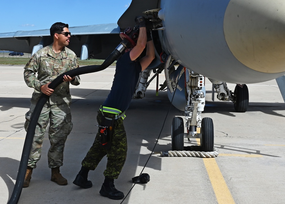 DM hosts NATO partner in Exercise Cougar South 2024