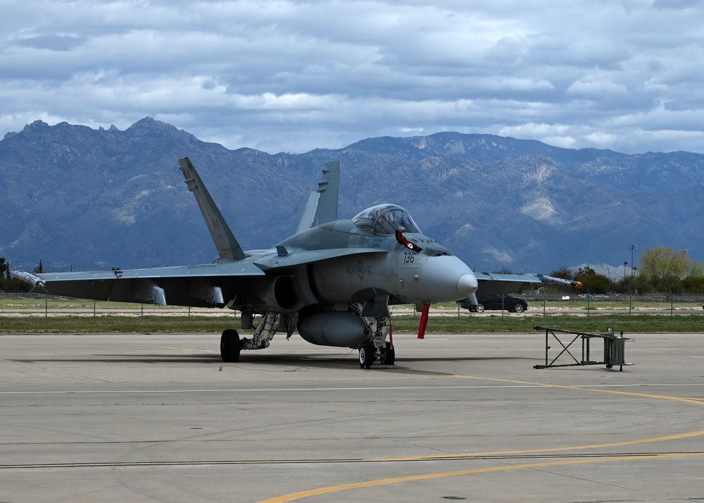 DM hosts NATO partner in Exercise Cougar South 2024