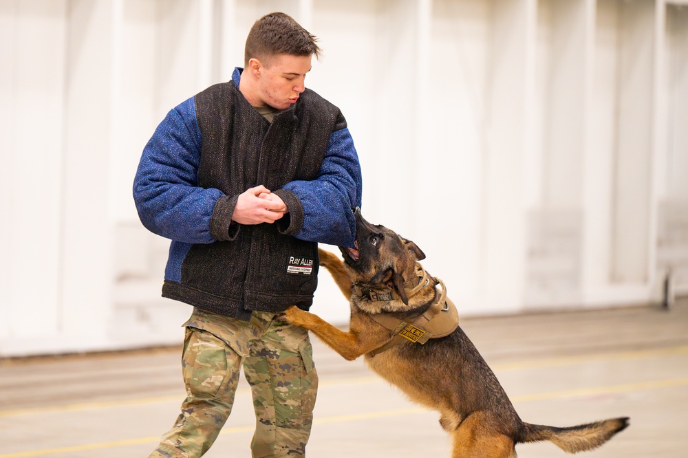 Malmstrom kennel team partners with Montana Air National Guard to perform detection training