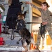 Malmstrom kennel team partners with Montana Air National Guard to perform detection training