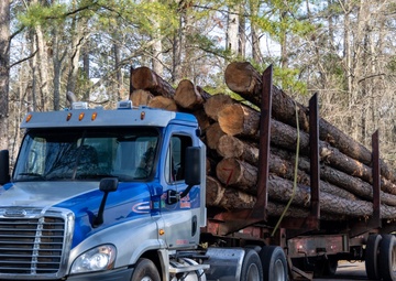 Timber Transport Following Sustainable Harvest