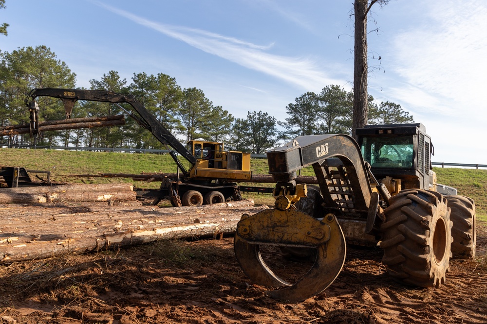 Heavy Machinery Facilitating Timber Loading Operations