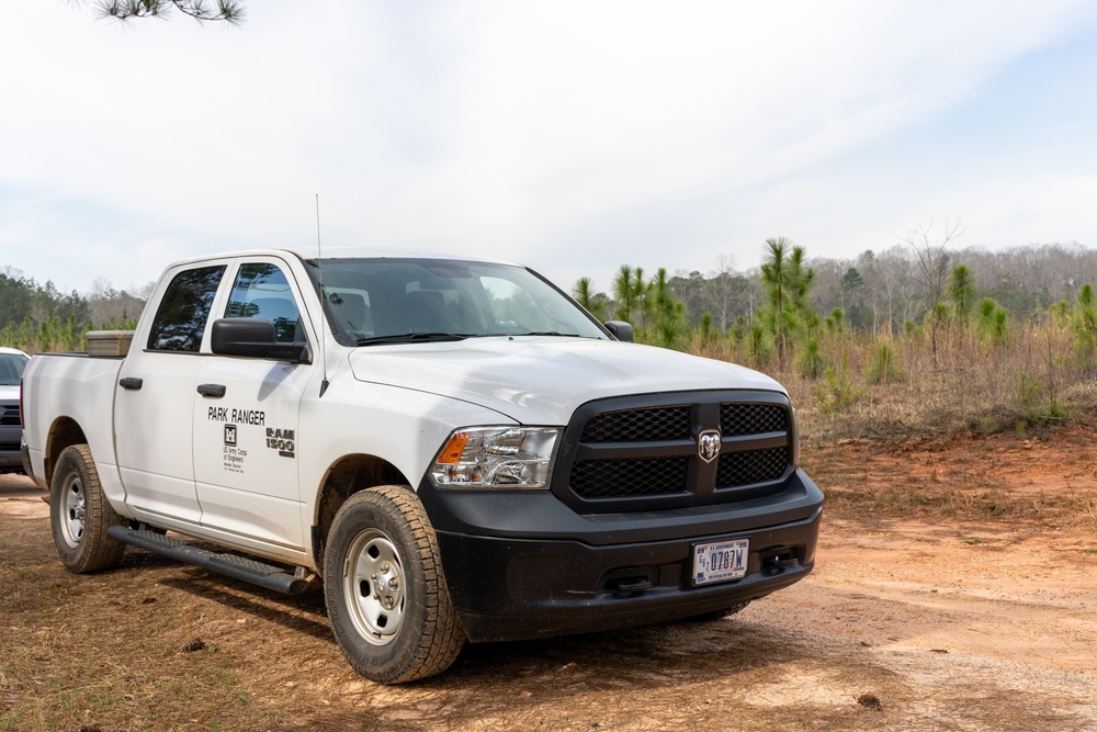 Park Ranger Vehicle on Duty in Forest Management Area