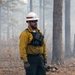 On-Site Coordination During Prescribed Forest Burn