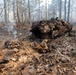 Aftermath of a Prescribed Burn: Smoldering Logs and Renewal
