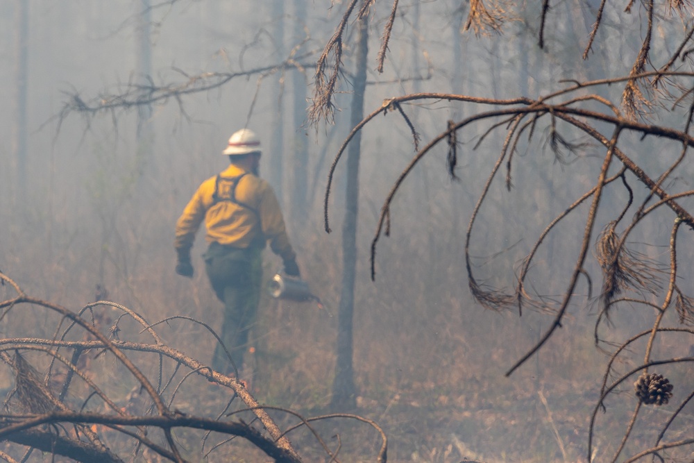 Fire Management in Action: Navigating Through Smoke