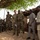 U.S. Army soldiers with the 91st Civil Affairs Battalion deployed with Special Operations Command Africa, conduct a civil engagement with Forces des Armées Beninoises members