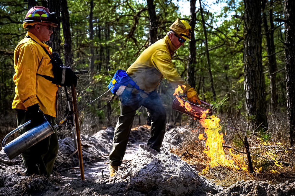 JB MDL partnership protects the Pinelands with new firebreak